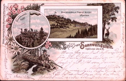 1900-AUSTRIA GRUSS Vom SONNWENDSTEIN, Viaggiata, Un Angolo Piegato - Autres & Non Classés
