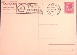 1974-MODENA 2 Festa Ciliegi In Fiore (11.3) Annullo Speciale Su Cartolina Postal - 1971-80: Marcophilia