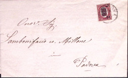 1880-SERVIZIO SOPR. C.2/10 (36) Isolato Su Stampe Padova (7.3) - Poststempel