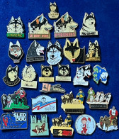 77734-Collection De 26 Pin's. .chiens De Traineau. .Husky.. Alaskan. .ski. .Alpes. .certains Signés. - Animali