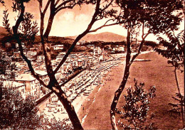 1952-CELLE LIGURE Panorama Dal Battini Viaggiata - Savona