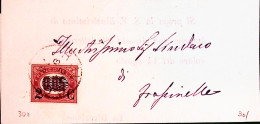 1879-francobolli Per Stampe Sopr.c.2/0,05 Su Piego Rovigo (26.9) - Marcophilie