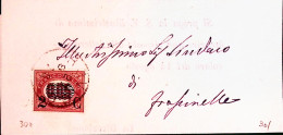 1879-francobolli Per Stampe Sopr.c.2/0,05 Su Piego Rovigo (26.9) - Poststempel