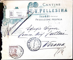 1914-ILLASI Cantine E. V. Pellesina Intestazione A Stampa Di Busta Raccomandata  - Marcophilie