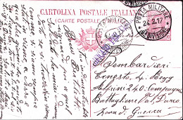 1917-Posta Militare/9^ DIVISIONE C.2 (24.2) Su Cartolina Postale Leoni C.10 Mill - War 1914-18