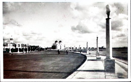 1934-LIBIA Bengasi Viale Della Vittoria Viaggiata Bengasi (29.8) - Libyen