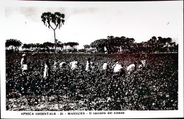 1937-AFRICA ORIENTALE Mansura Il Raccolto Del Cotone Viaggiata Decamerè (17.3) A - Afrique