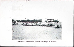 1912-TRIPOLI Il Giardino Del Jerich E Una Greggia Di Montoni Viaggiata Posta Mil - Libië