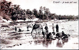 1912-TRIPOLI A Bordo Dell'Oasi Viaggiata Posta Militare/Intendenza Generale/Trip - Libye