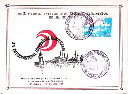 1959-Turchia 15 Conferenza Intern. Tubercolosi/Istanbul (12.9) Annullo Speciale - Covers & Documents