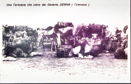 1912-Posta Militare/IV DIVISIONE/CIRENAICA C.2 Con Cartiglio (28.3) Su Cartolina - Cirenaica