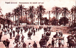 1913-TRIPOLI D'AFRICA N 1/(PORTO) C.2 (5.5) Su Cartolina (Tripoli Accampamento D - Weltkrieg 1939-45