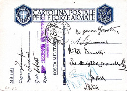 1941-Posta Militare/N 260 C.2 (2.4) Su Cartolina Franchigia - Guerre 1939-45