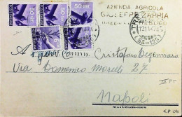 Italy - Repubblica - Democratica Lettera / Cartolina Da Tresilico - S7176 - 1946-60: Marcophilie