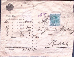 1916-AUSTRIA Effigie Carlo I H.20 + Al Verso Stemma H.12, 40 E 80 Di Busta Conte - Other & Unclassified