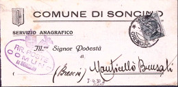 1930-SONCINO C.2 (7.4) Su Piego Affrancata Michetti C.30 - Poststempel