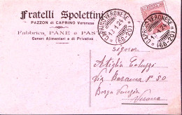 1924-FRATELLI SPOLETTINI Pazzon Di Caprino Veronese Intestazione A Stampa Su Car - Marcophilie