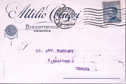 1924-ATTILIO COLUSSI Verona Intestazione A Stampa Su Cartolina Verona (27.6) - Verona
