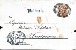 1898-Austria Riva/Nachm (7.11) Su Cartolina Per Bressanone, Cagnolina Con Cuccio - Chiens
