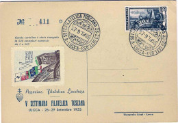 Y1953-cartolina Numerata E Vignetta Dell'associazione Filatelica Lucchese Affran - 1946-60: Marcophilia
