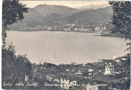 1955-cartolina Del Golfo Della Spezia Panorama Di Lerici E San Lorenzo Affrancat - La Spezia