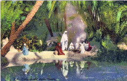 1930circa-Egitto Cartolina "Campement Dans L'Oasis" - Autres & Non Classés