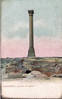 1930circa-Egitto Cartolina "Alexandrie Column Of Pompey" - Other & Unclassified