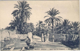 1920circa-Algeria Cartolina "Vieux Biskra Route Dans La Palmaraire" - Autres & Non Classés