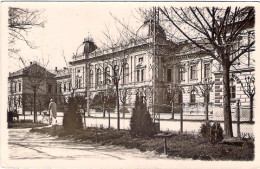 1930-Jugoslavia Cartolina "Novi Sad"diretta In Italia - Jugoslawien