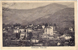 1926-"Bureglio Verbania Panorama"annullo Frazionario Di Bee (41-301) - Verbania