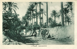 1911/12-"Guerra Italo-Turca,strada Carovaniera" - Libye