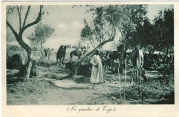 1911/12-"Guerra Italo-Turca,Nei Giardini Di Tripoli" - Libye