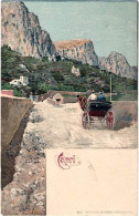1900circa-"Capri Napoli Edizione Richter" - Napoli (Naples)