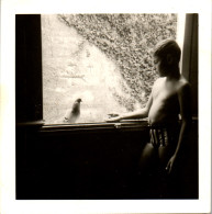Photographie Photo Vintage Snapshot Anonyme Enfant Oiseau Fenêtre Pigeon  - Personnes Anonymes
