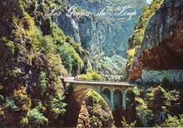 CPM - R - ALPES MARITIMES - LES GORGES DU LOUP - LE PONT DE L'ABIME - Andere & Zonder Classificatie