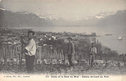 Suisse - VEVEY (VD) Travail De La Vigne Sur Les Coteaux - Ed. E. Steiner 874 - Vevey