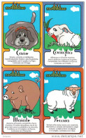 SAN MARINO - Set Of 12 Cards, Chinese Horoscope, Tirage 9000-33000, Mint - Zodiaque