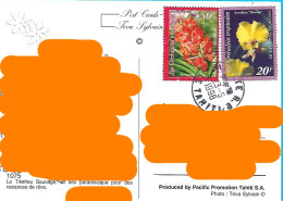 2 Timbres Orchidées Tropicales Au Dos CPM Tikehau Sauvage Cachet Tahiti - Französisch-Polynesien