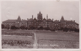 United Kingdom PPC Palmer's College, Grays GRAYS 1912 KLAMPENBORG Denmark Echte Real Photo (2 Scans) - Otros & Sin Clasificación