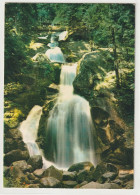 Triberg Im Schwarzwald, Deutschlands Größte Wasserfälle - Triberg