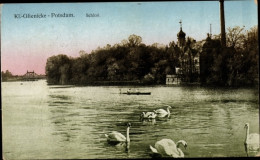 CPA Klein Glienicke Potsdam, Schloss, Schwäne - Autres & Non Classés