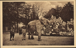 CPA Antwerpen Antwerpen Flandern, Elefant, Zoologischer Garten - Other & Unclassified