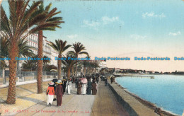 R671607 Cannes. La Promenade De La Croisette. LL. 24 - Monde