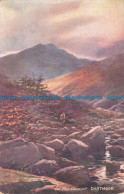 R670915 Dartmoor. On The Okement. Picturesque Devon. Tuck. Oilette. Series. V. N - Monde