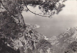 AK 215107 FRANCE - Les Calanche De Piana - La Corse - Altri & Non Classificati