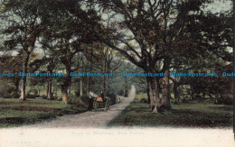 R671656 New Forest. Road To Minstead. F. G. O. Stuart - Monde