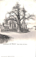 Namur (environs De) Vieux Chêne De Liernu (Nels 1901) - Namur