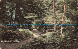 R671660 Lymington. The Path In The Woods. Buckland Rings. H. Woodford. Advance S - Monde