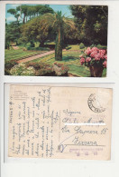 Albano (Roma): Villa Comunale. Cart. Vg 1968 (timbro Pavona, Unione Bieticoltori Ferraresi) - Andere & Zonder Classificatie