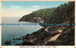 R671689 Babbacombe Slopes And View Of Cary Arms - Monde